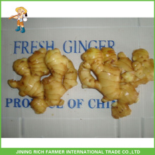 Nature Chinese Garlic Fresh Ginger And Garlic